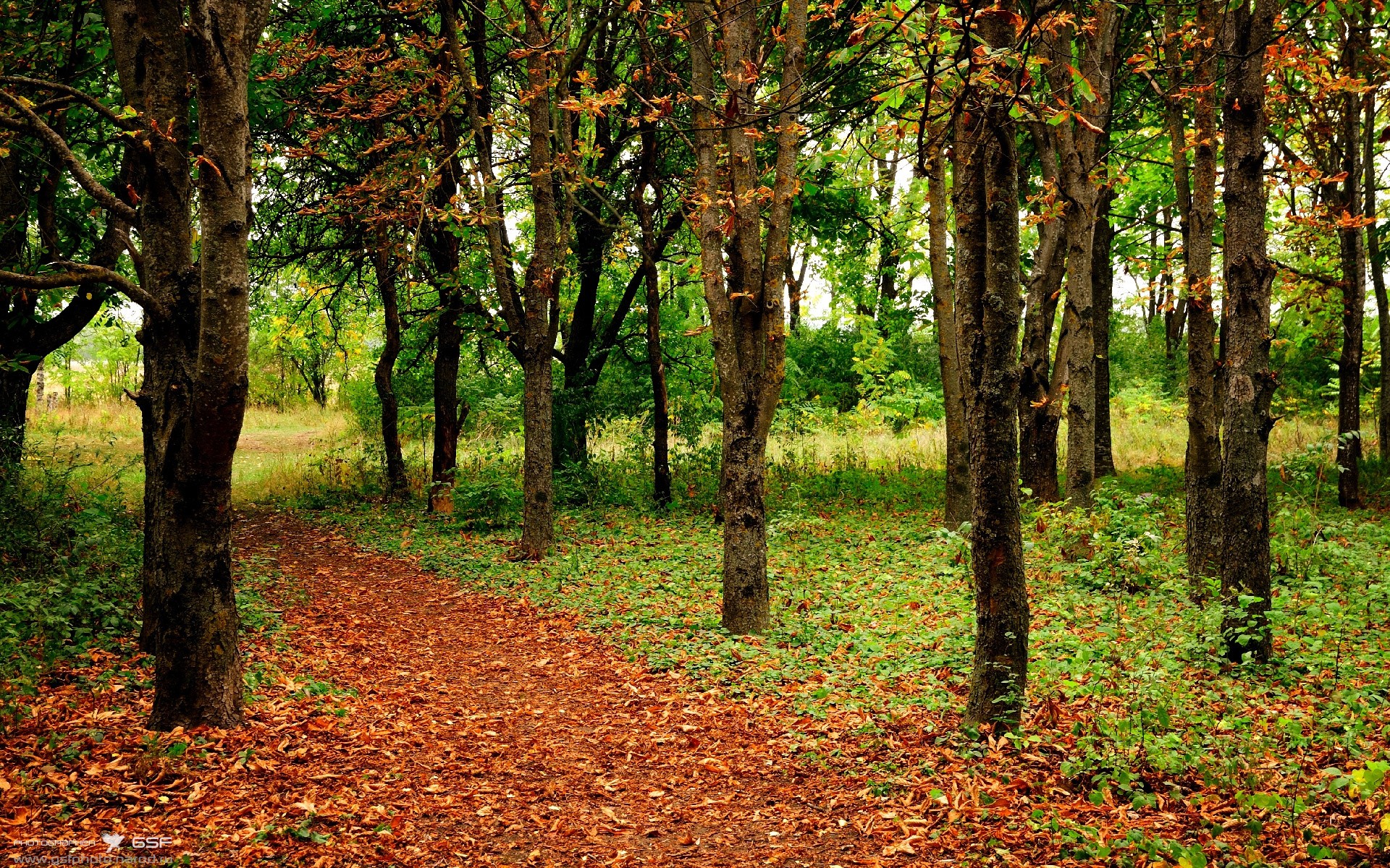 小贾伦的攻防交响曲，爵士与雷霆之战中的唯一核心