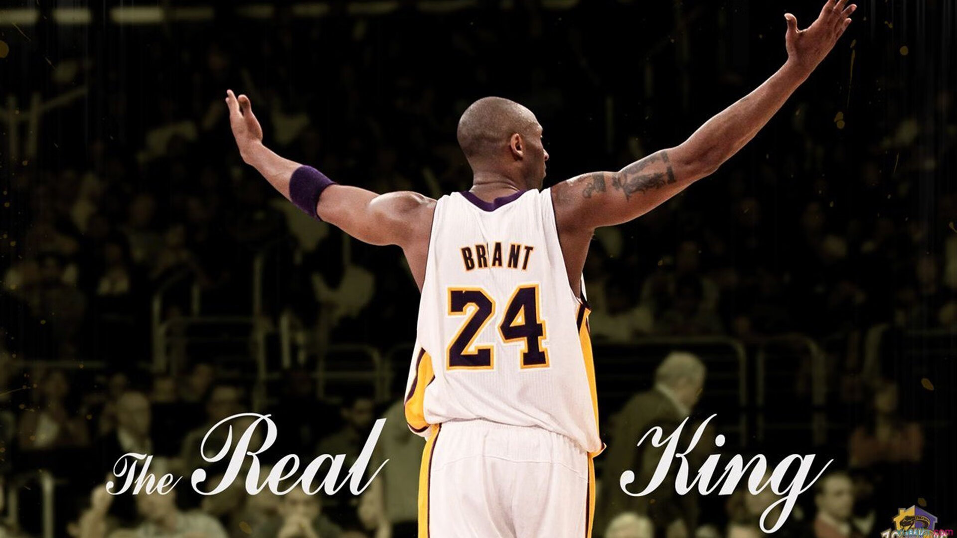 加克波高光表现照亮新荷兰,巴萨元素掀翻巴拉圭传统